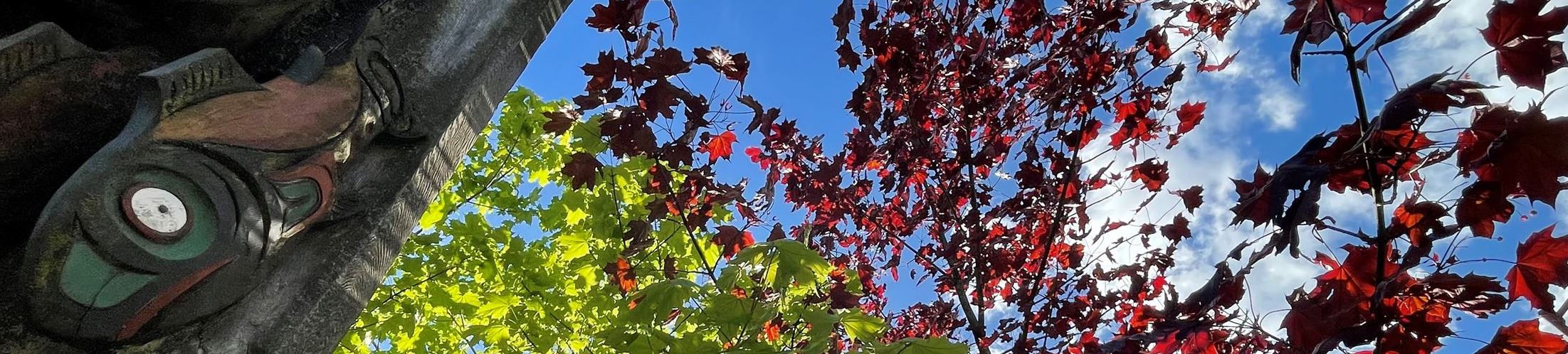 Ely Franklin - Picture of Totem Pole and Trees in Whale Park