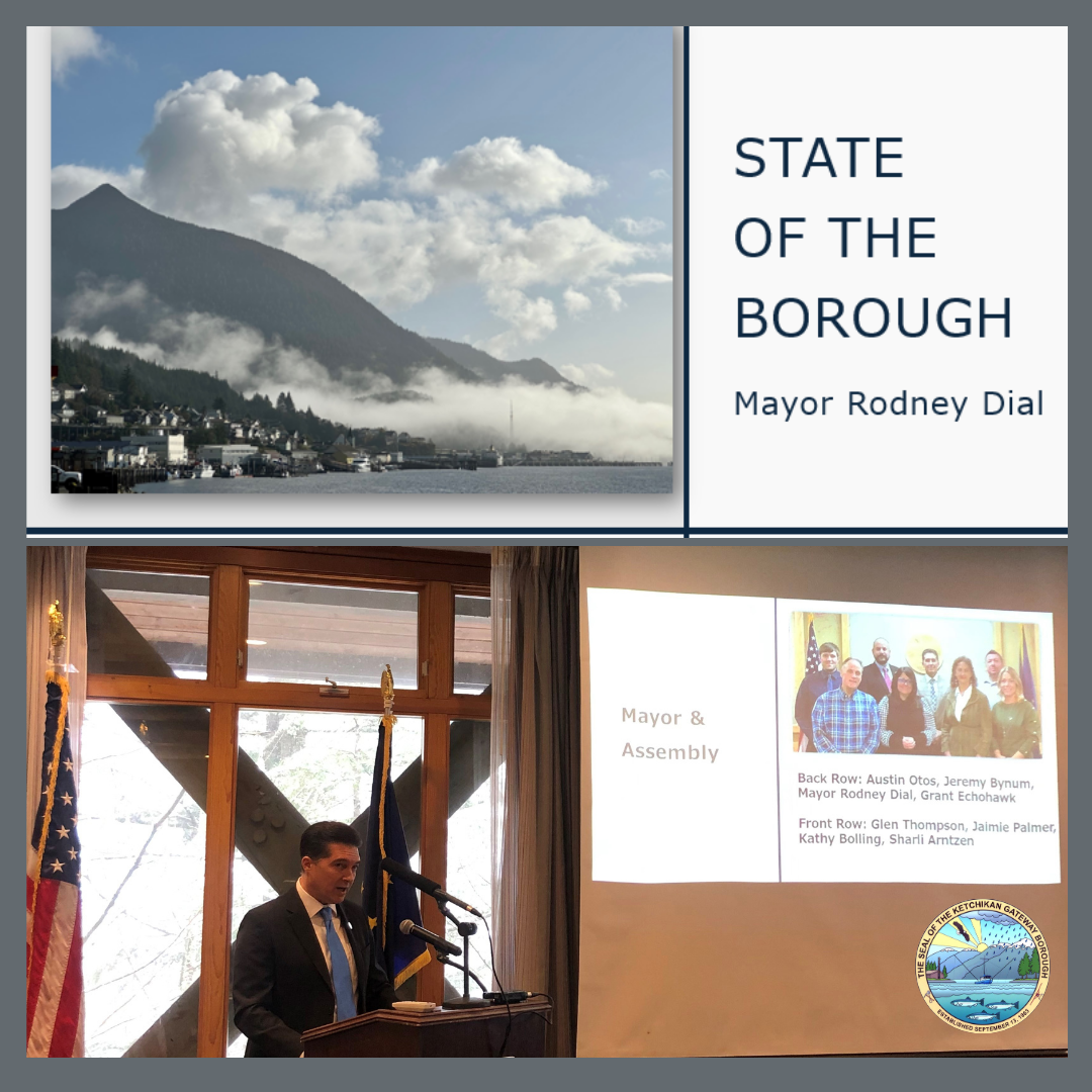 State of the Borough